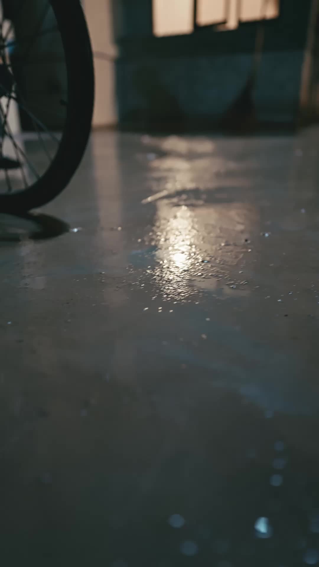 Episódio 1 de Das cinzas, nós renascemos