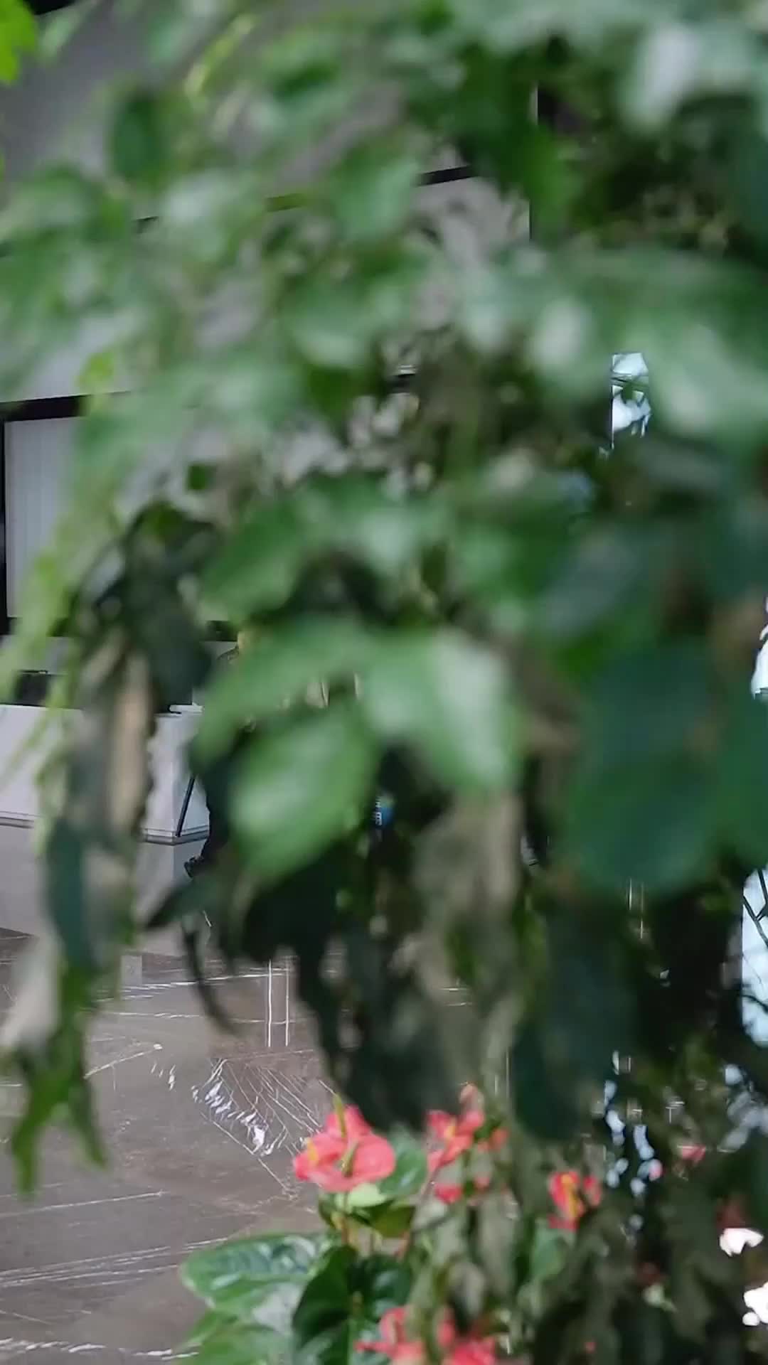 Episódio 31 de De órfã à filha de um CEO