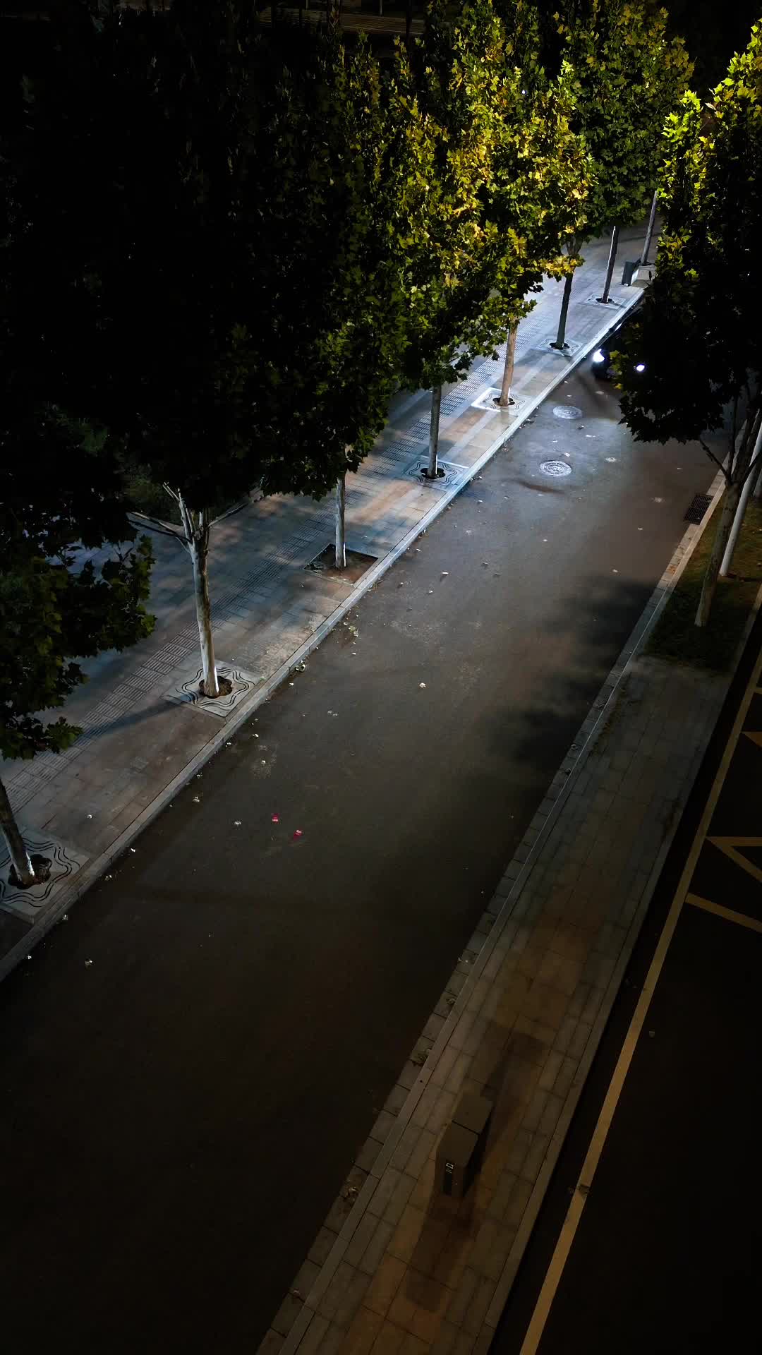 Episódio 28 de Despertar: O Mundo o Espera