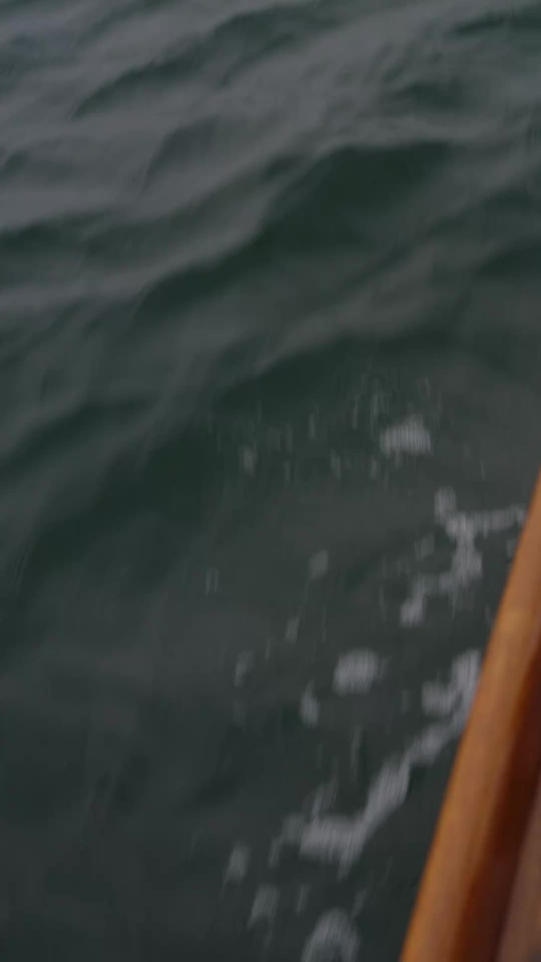 Episódio 2 de Dinheiro, Robôs e um Feliz 4 de Julho