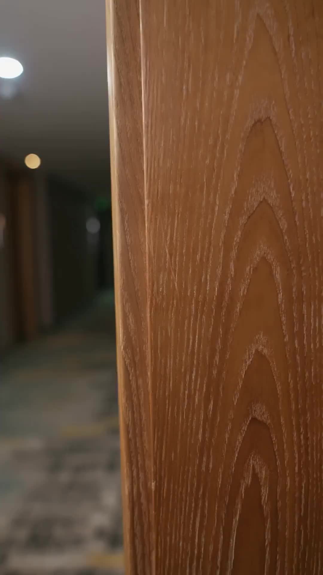 Episódio 38 de Dividida Entre Dois Bilionários