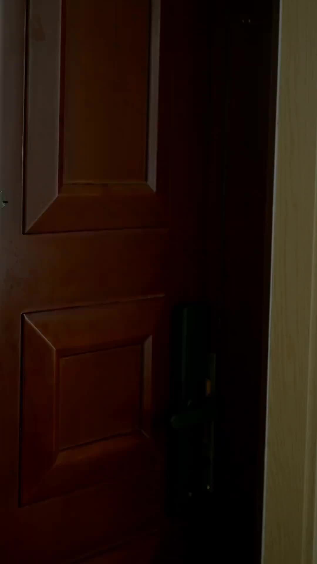 Episódio 8 de Dividida Entre Dois Bilionários