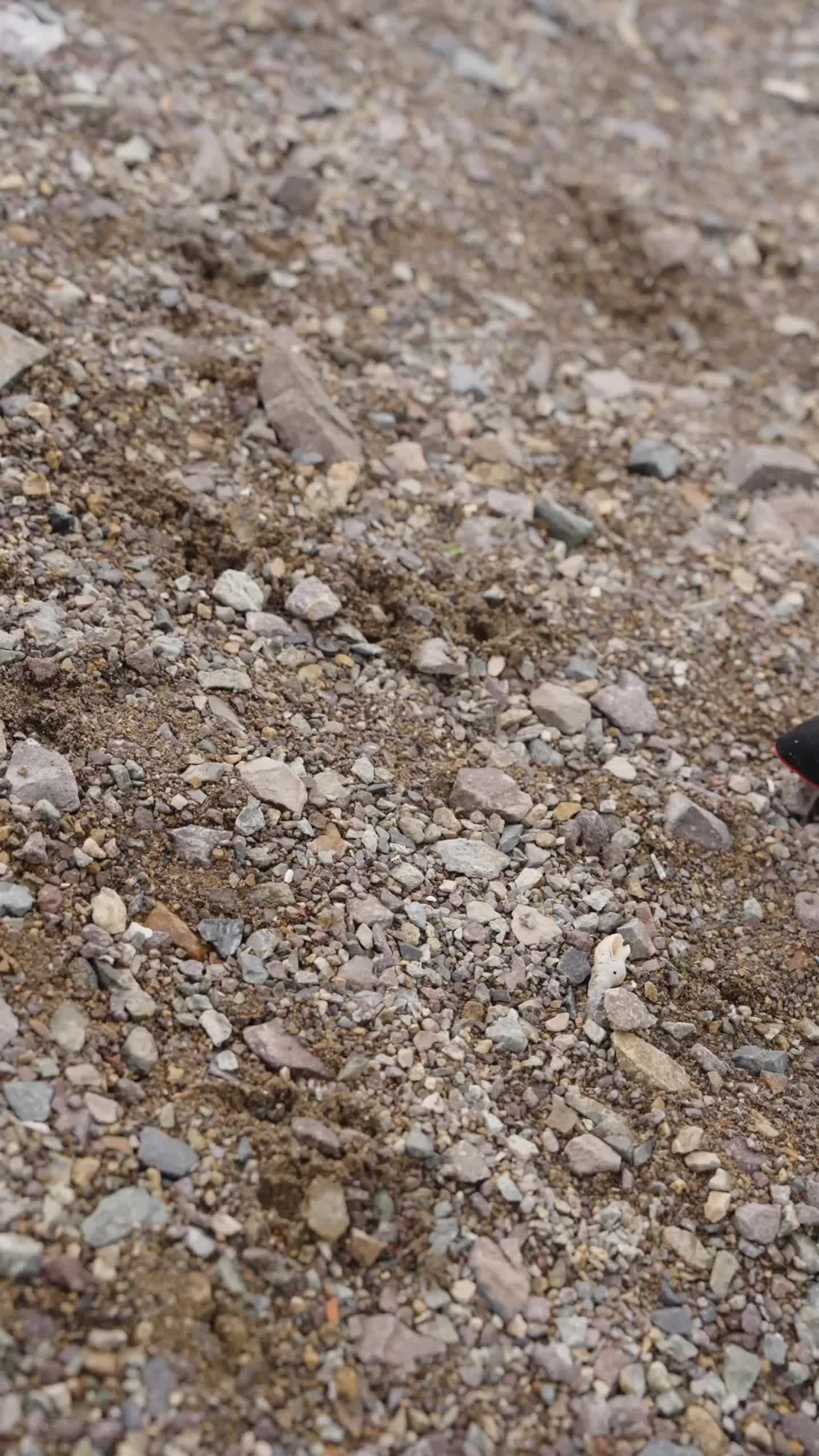 Episódio 95 de Do Relâmpago ao Destino