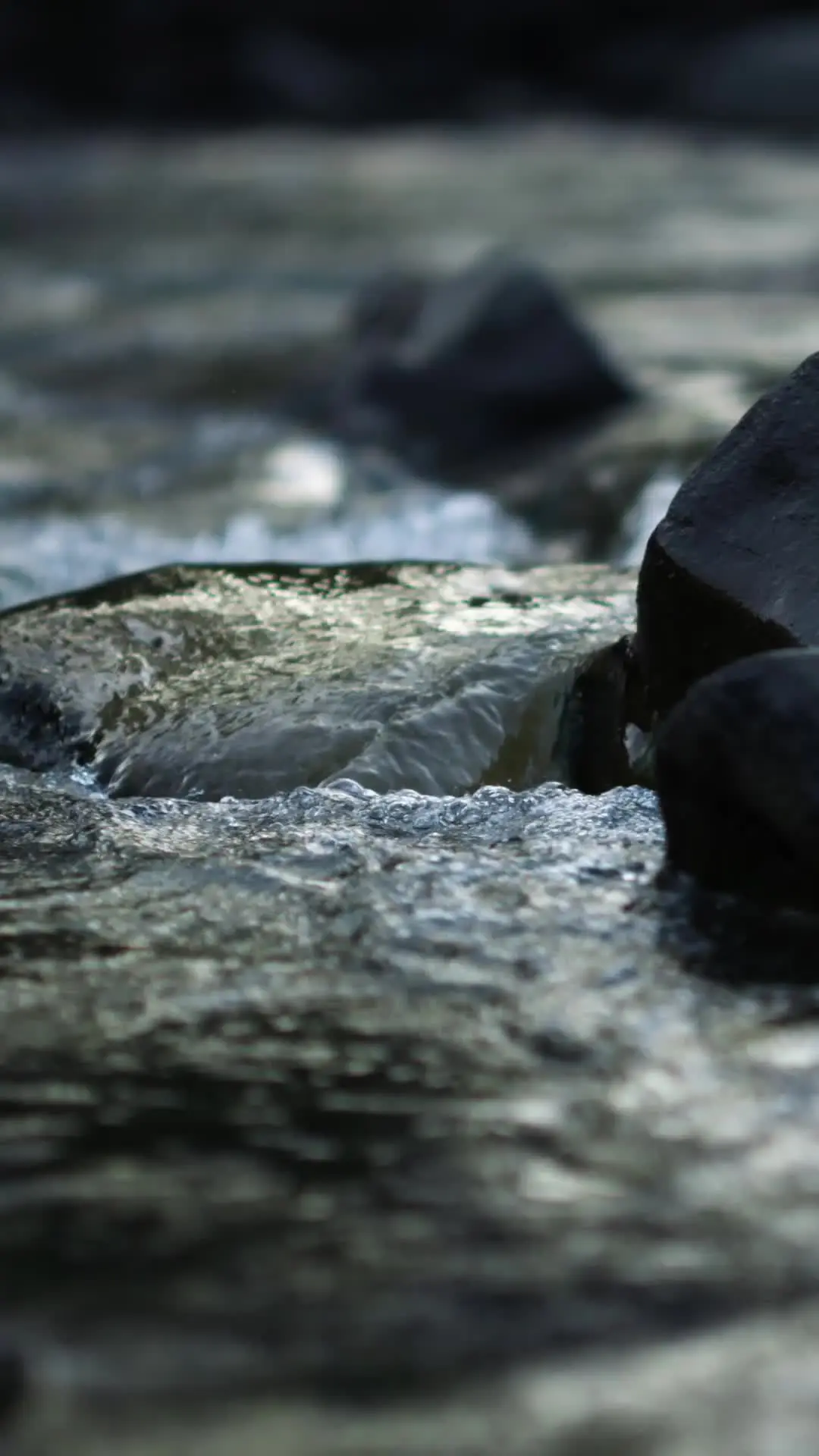 Episódio 36 de Dois Alfas Estão Apaixonados por Mim
