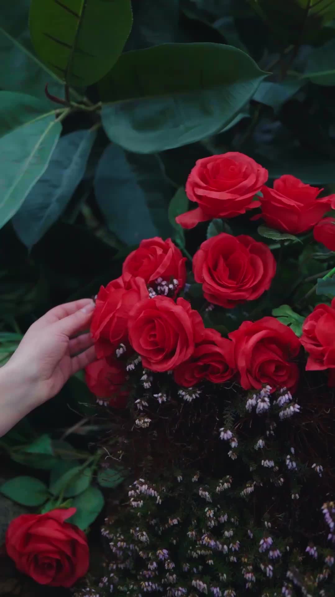 Episódio 47 de Domine-me, meu lorde