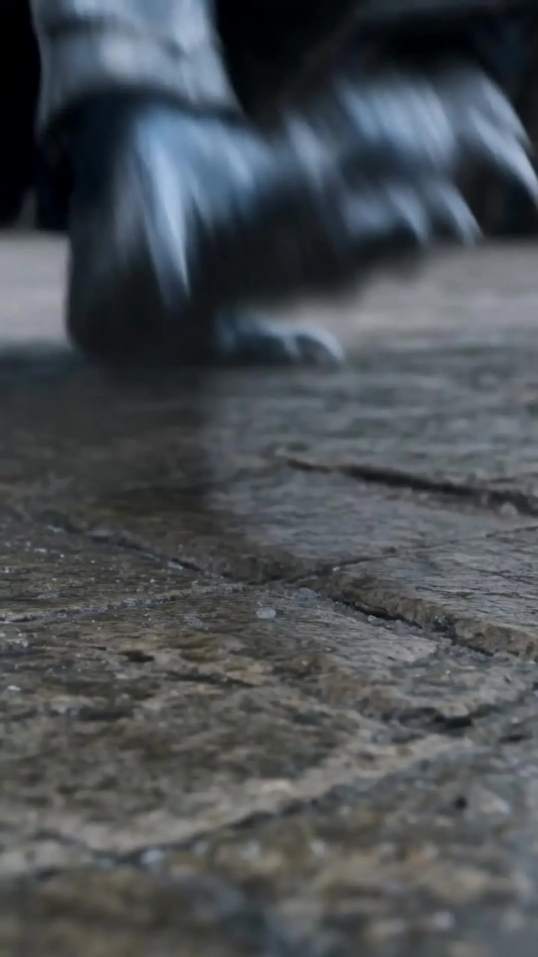 Episódio 2 de Dragão Abandonado, Rainha Ascendente