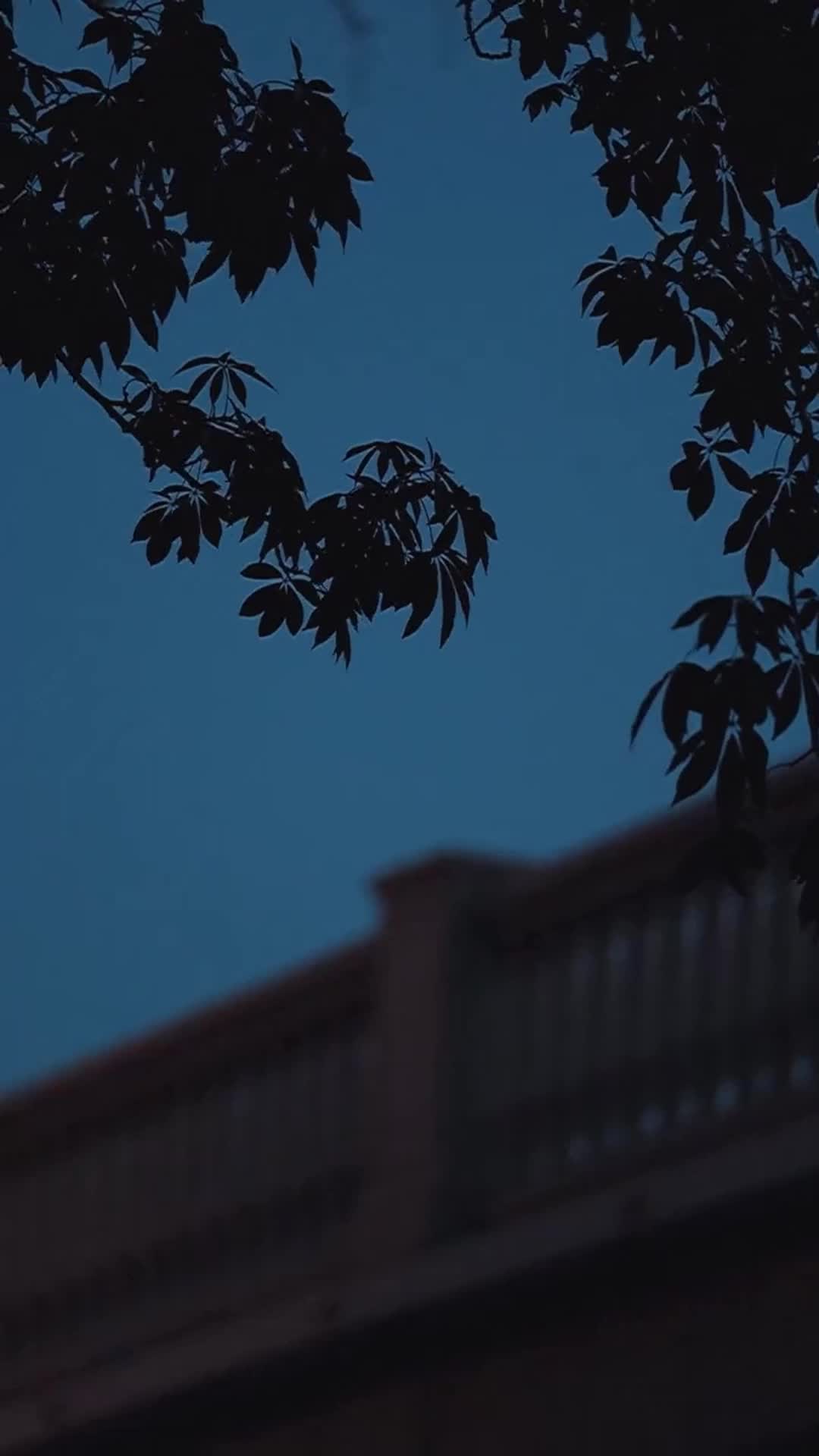 Episódio 5 de DRAMA em HD