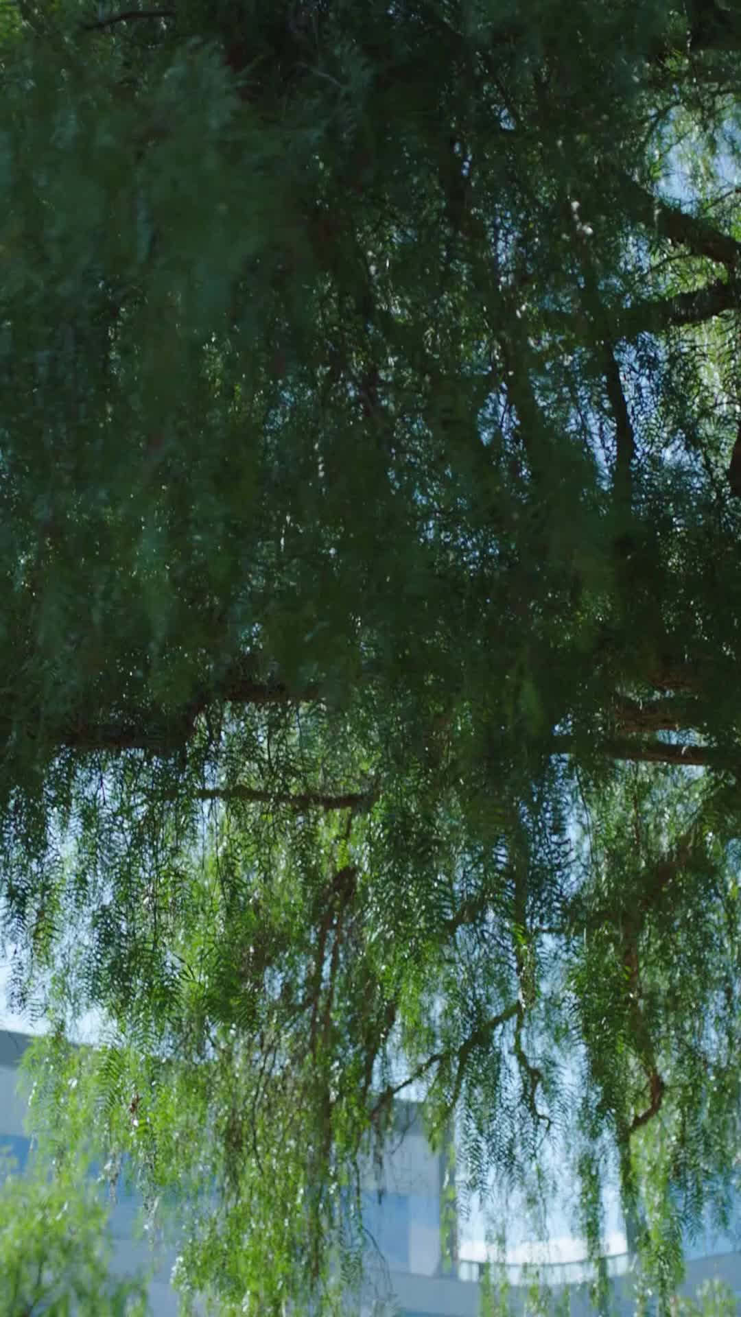 Episódio 61 de Engravidada pelo pai professor do meu ex