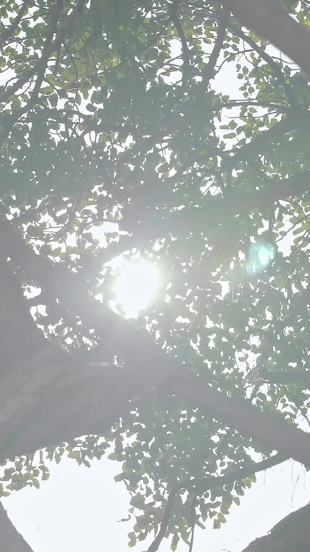 Episódio 29 de Eu me casei sem você