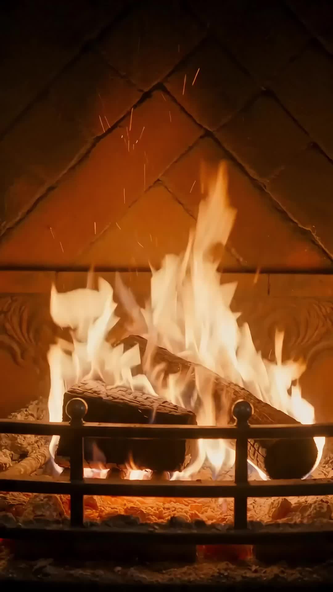 Episódio 11 de Filha Esquecida