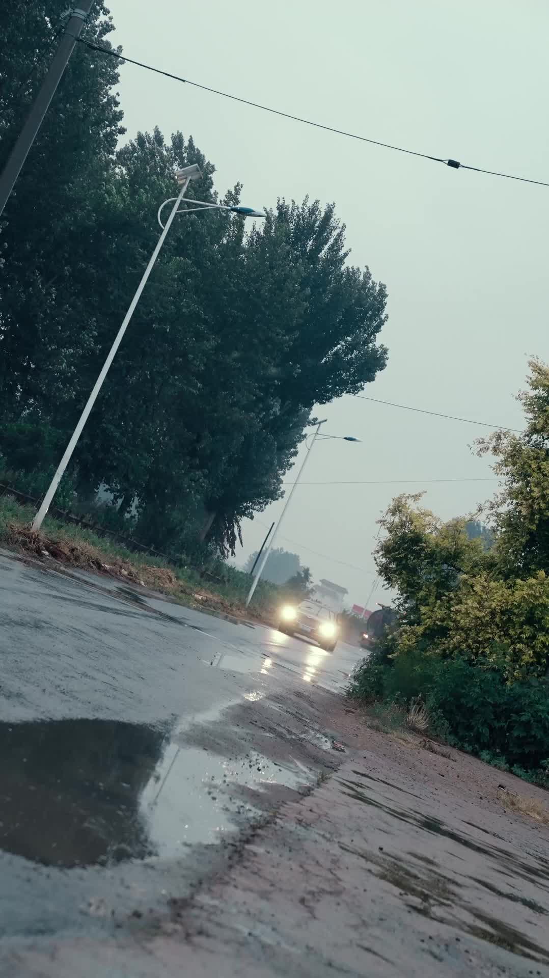 Episódio 22 de Folhas Voltam às Raízes