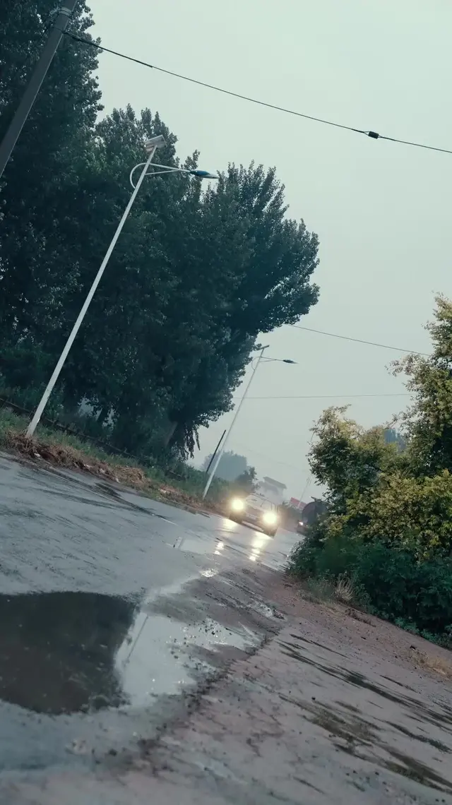 Episódio 22 de Folhas Voltam às Raízes