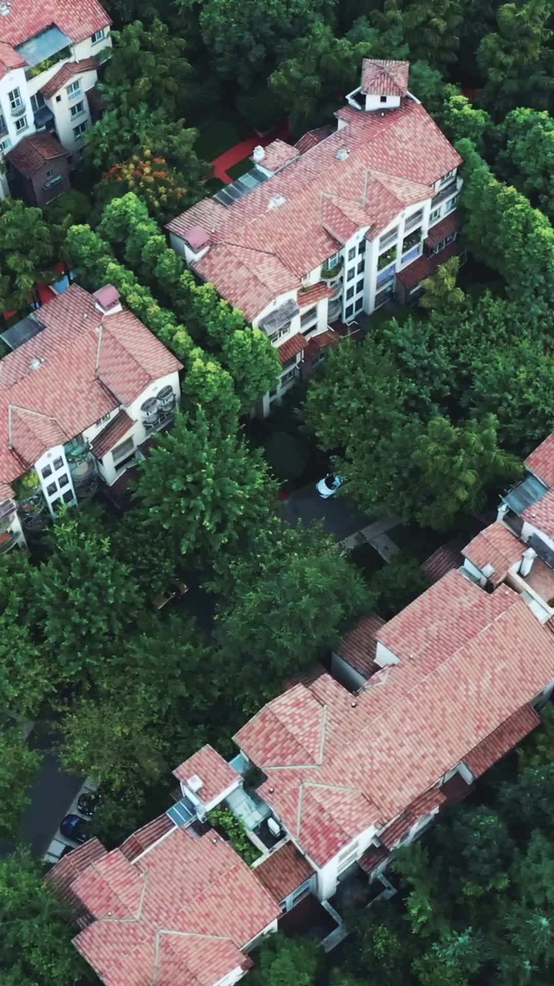Episódio 35 de Fuga Após Engravidar do Meu Marido em Estado Vegetativo