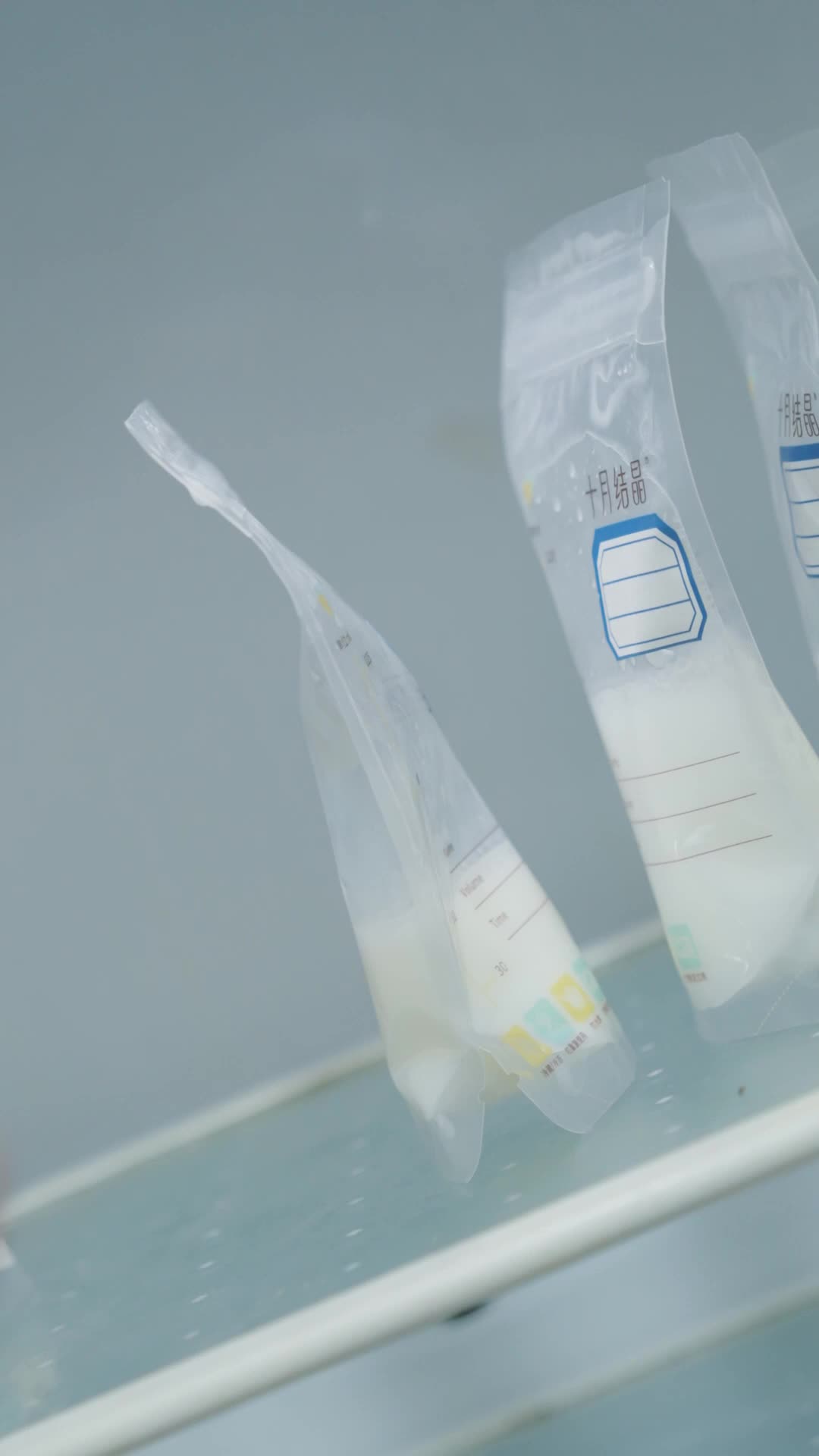 Episódio 55 de Fuga Após Engravidar do Meu Marido em Estado Vegetativo