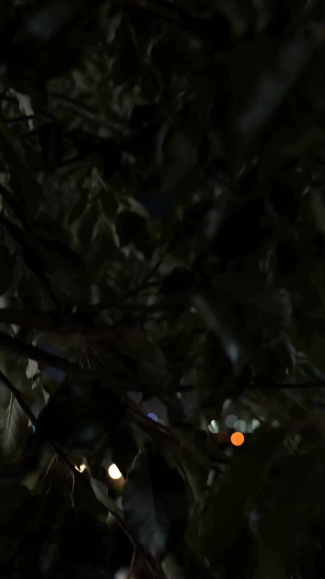 Episódio 2 de Fugindo do Futuro que Vi com Ele