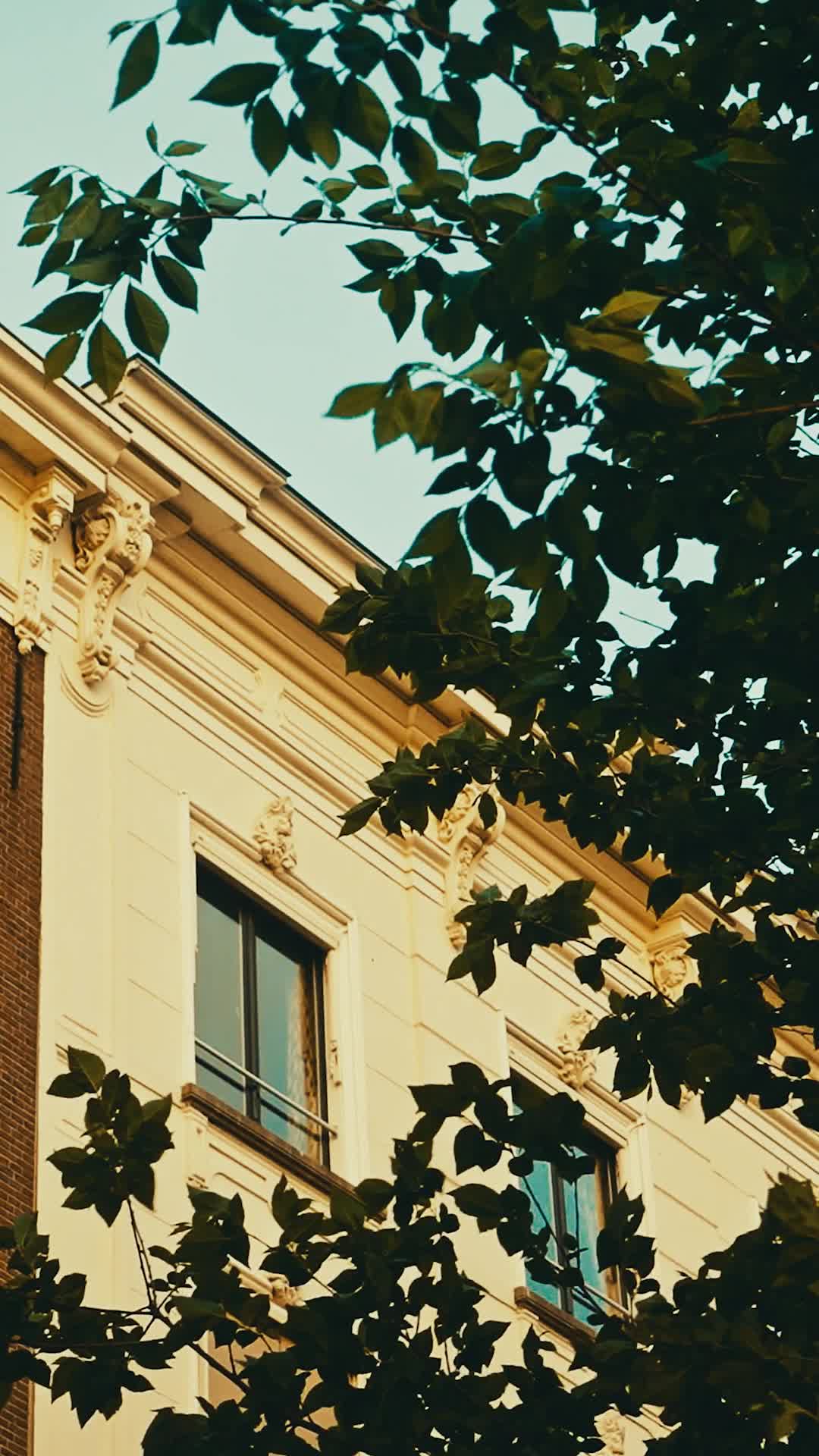 Episódio 63 de Grávida dos seus trigêmeos, sendo sua esposa