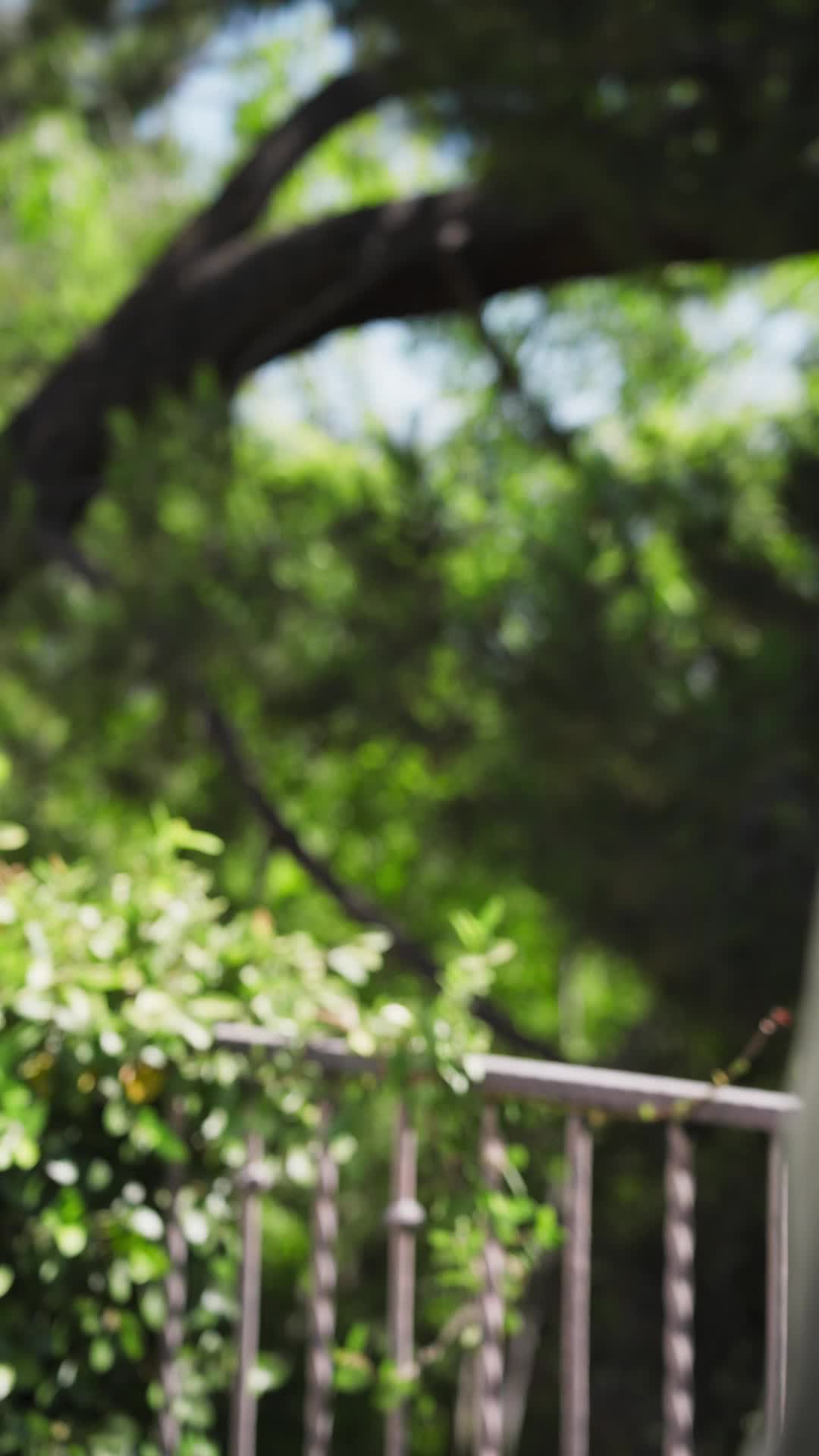 Episódio 40 de Gravida e Casada com uma Estrela de Cinema