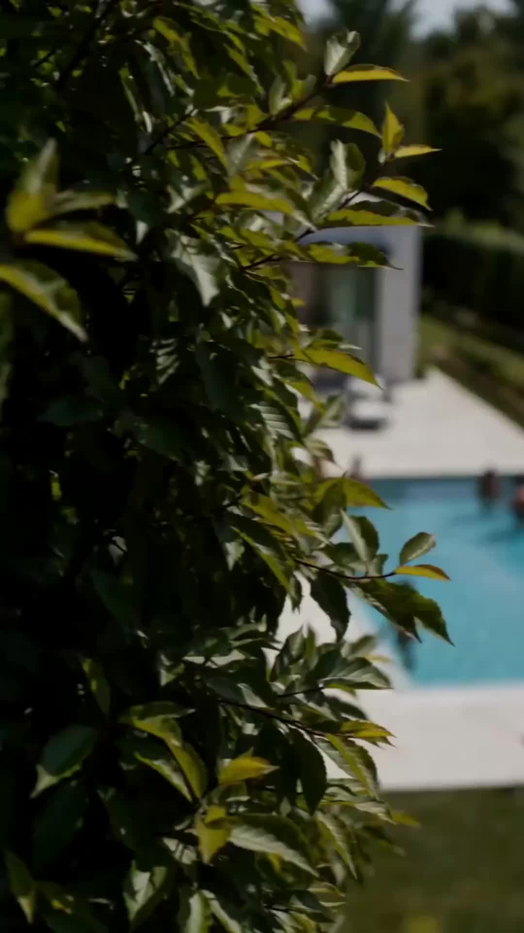 Episódio 1 de Grávida em Segredo da Filha do Bilionário
