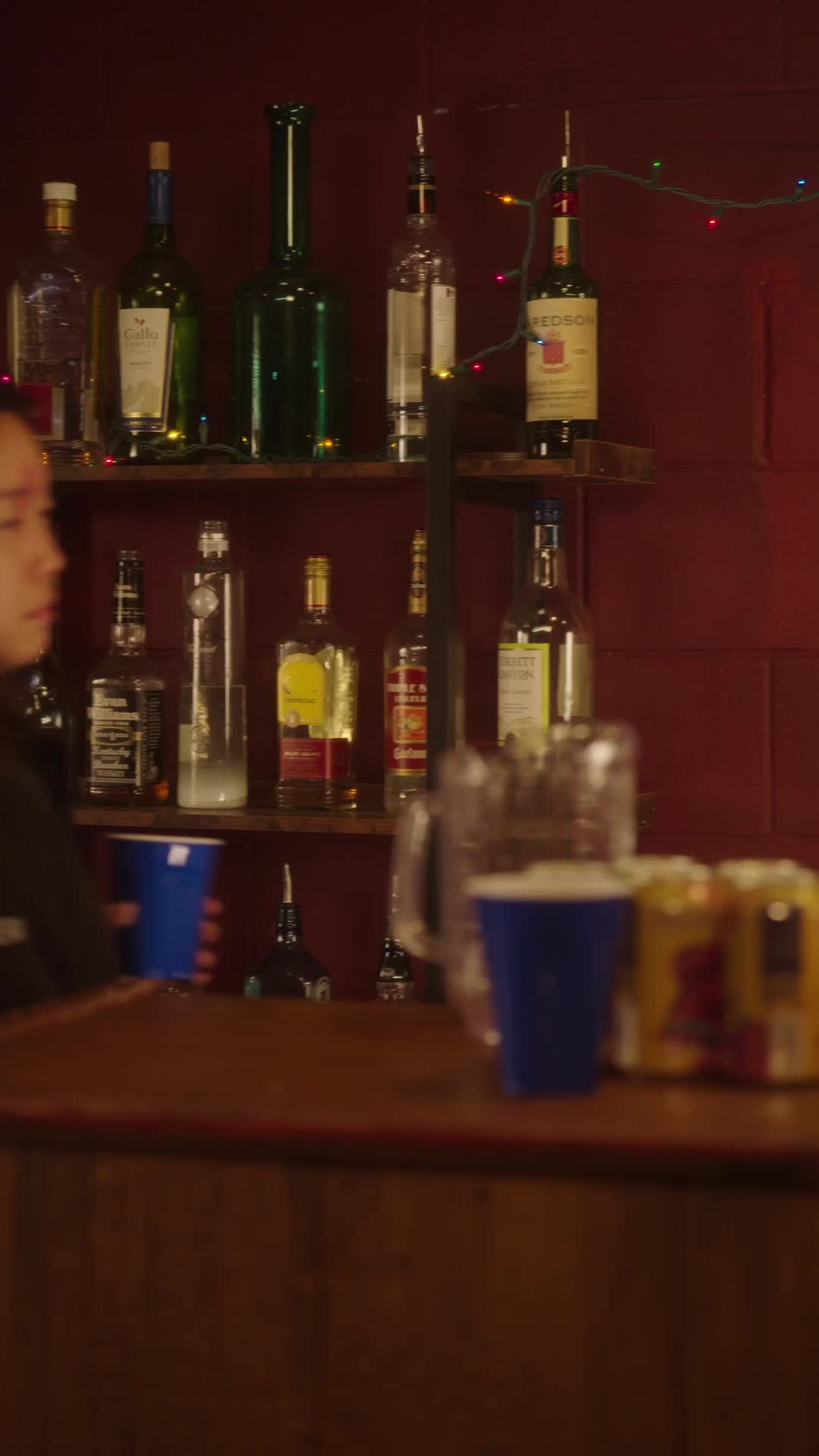 Episódio 10 de Gravidez Perfeita
