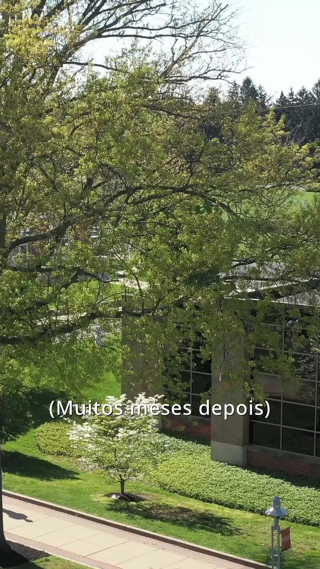 Episódio 43 de Gravidez Perfeita