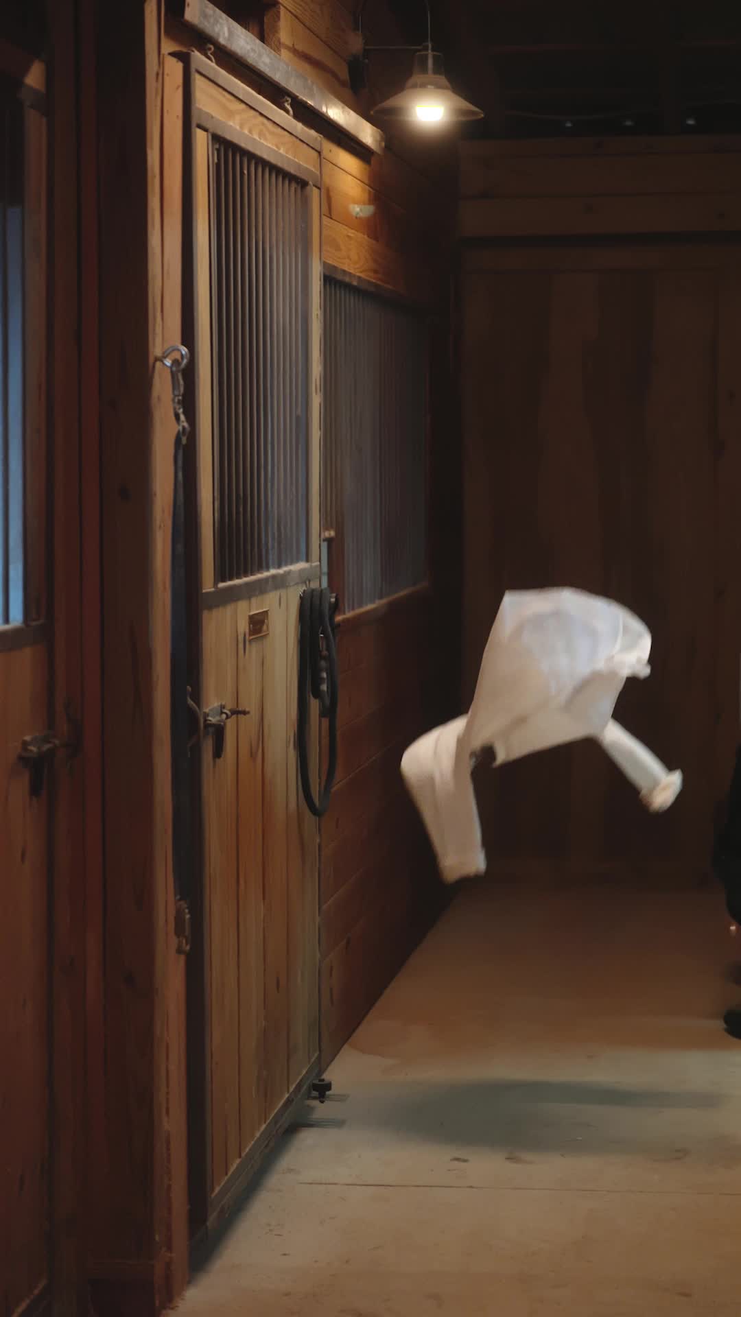 Episódio 3 de Laçada pelo Amor de um Cowboy
