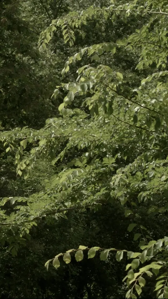 Episódio 50 de Masmorras do Êxtase