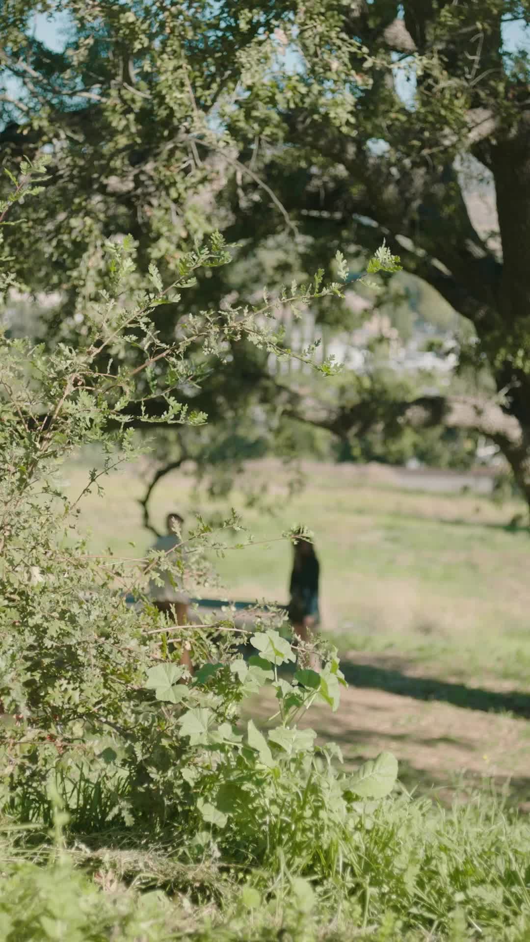 Episódio 25 de Me ame, me morda