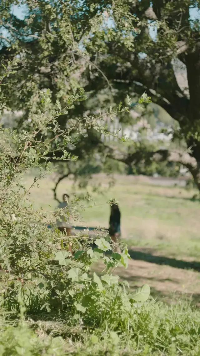 Episódio 25 de Me ame, me morda