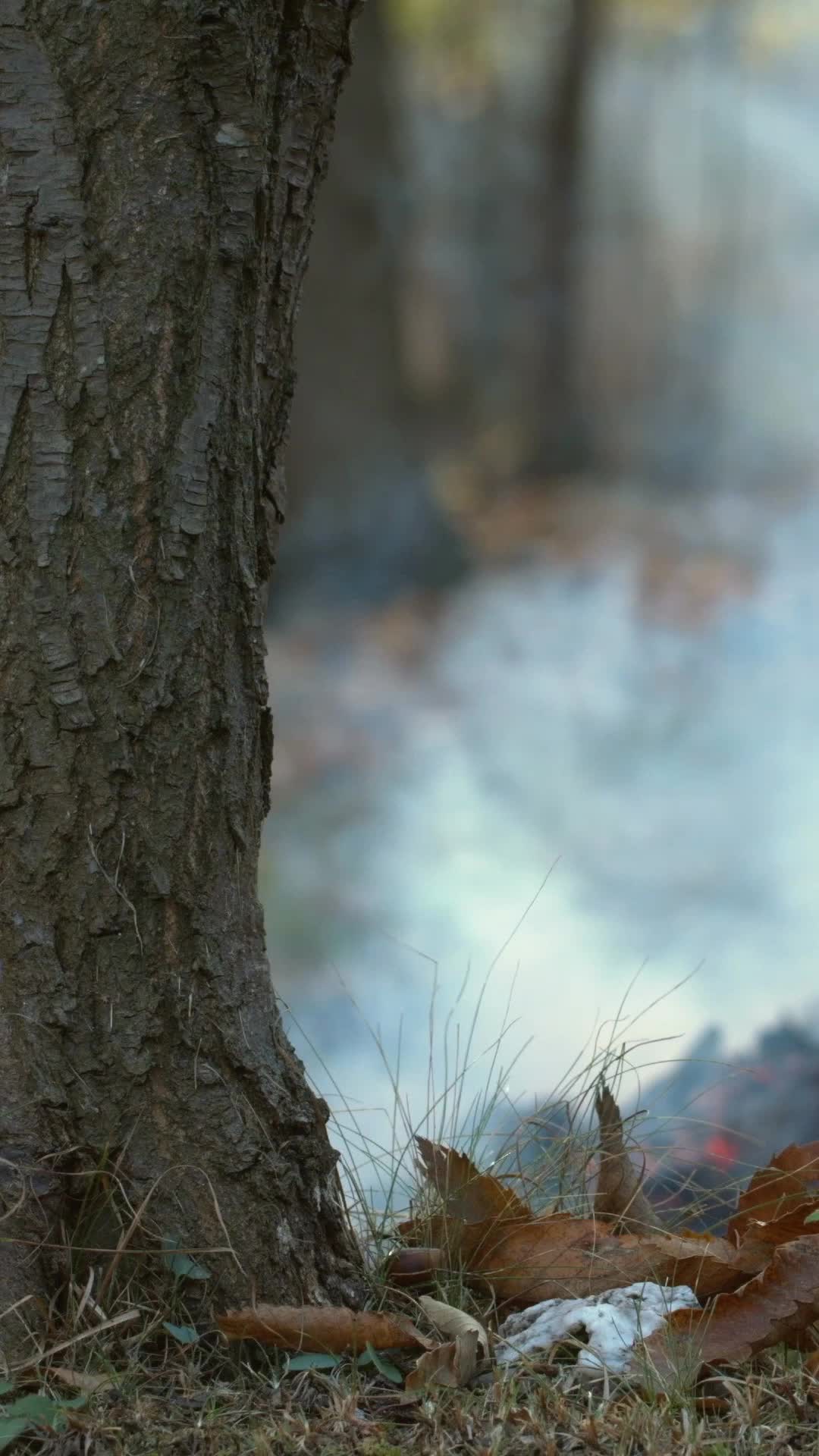 Episódio 41 de Me ame, me morda
