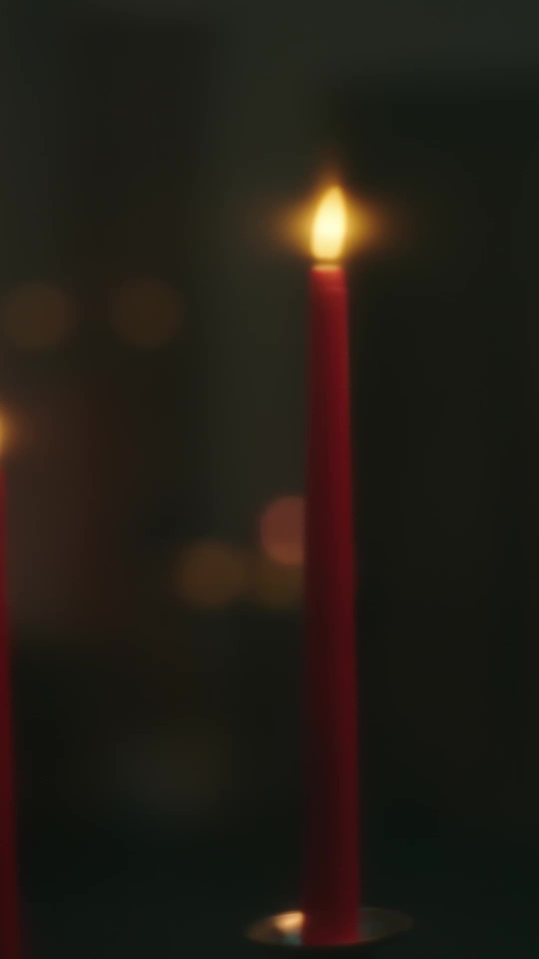 Episódio 47 de Me ame, me morda