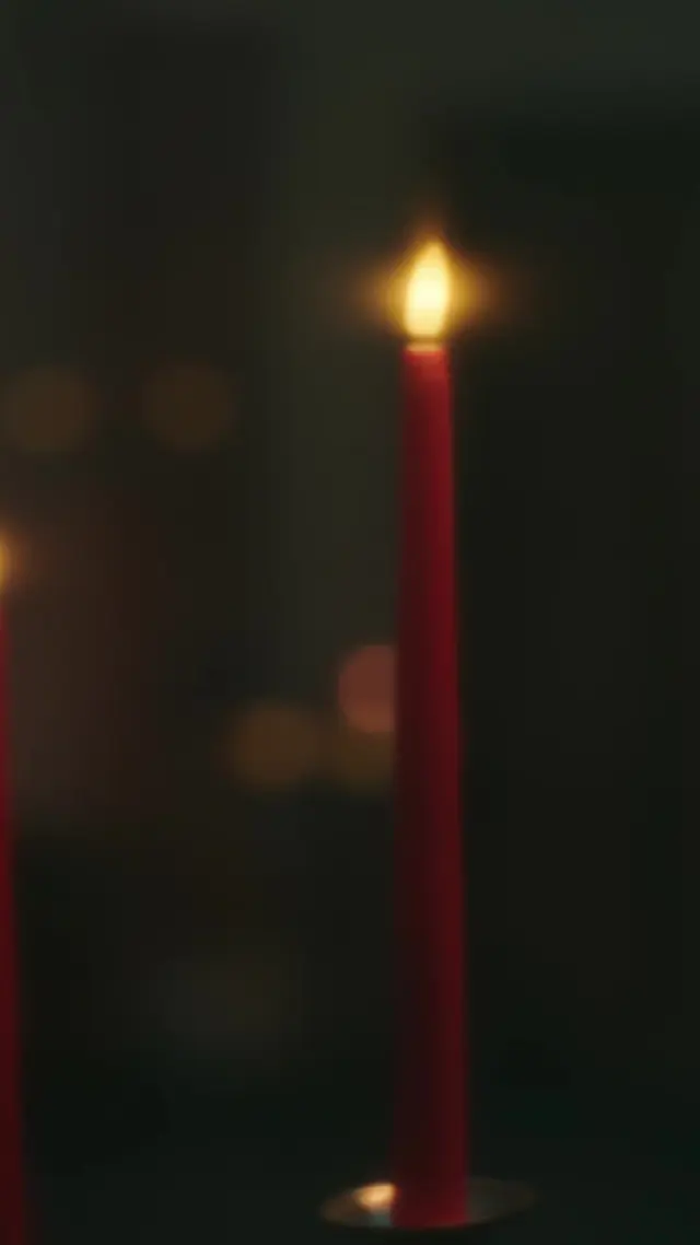 Episódio 47 de Me ame, me morda