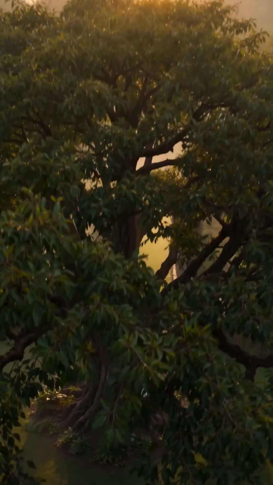 Episódio 1 de Me Chame Pelo Nome Dele