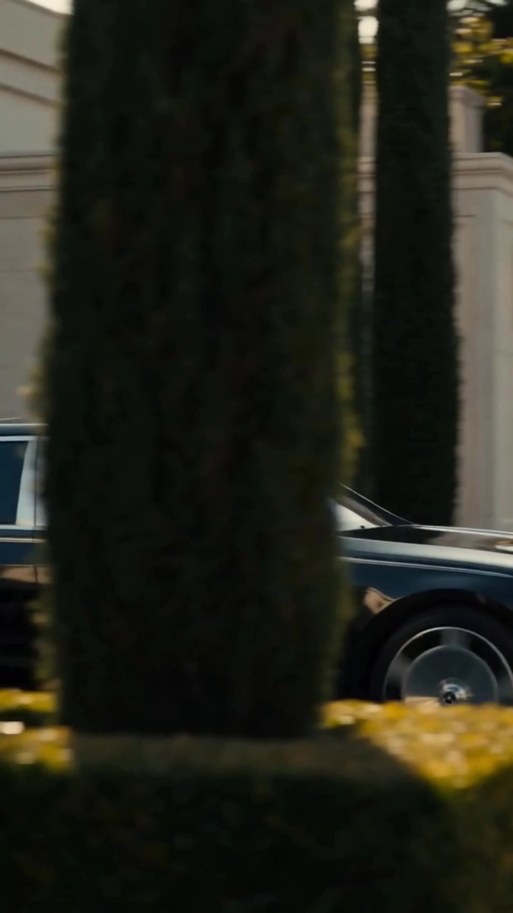 Episódio 29 de Meu Amante Mafioso Protetor