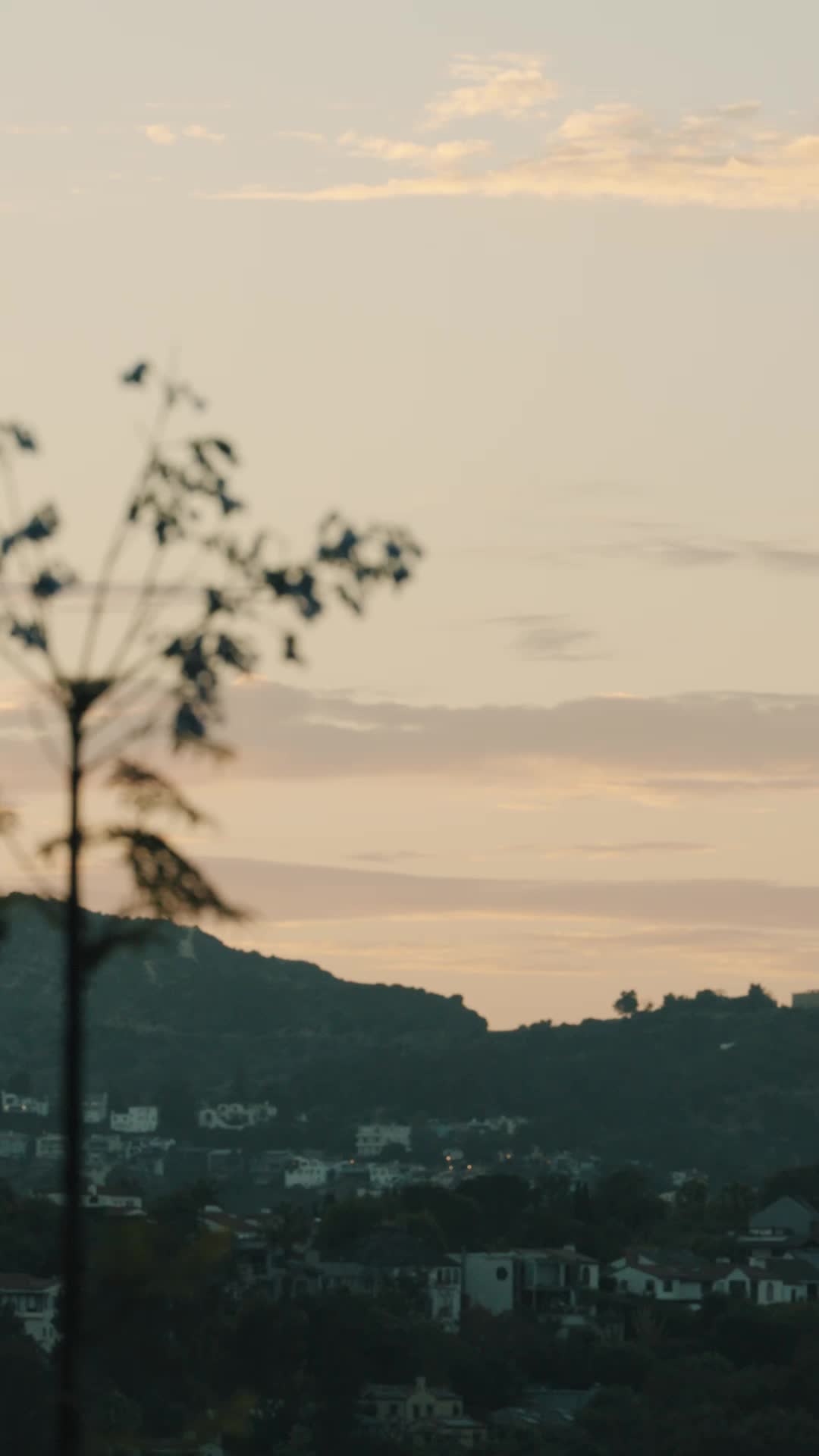 Episódio 57 de Meu chefe da máfia revestido de açúcar