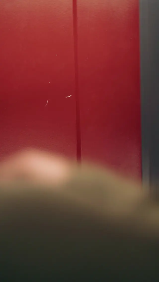 Episódio 39 de Meu Chefe é Meu Doador de Esperma Secreto