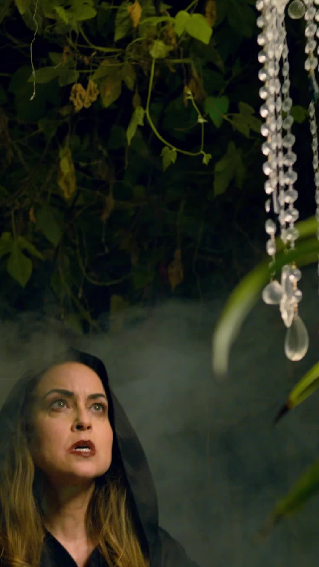 Episódio 42 de Meu companheiro é um vampiro