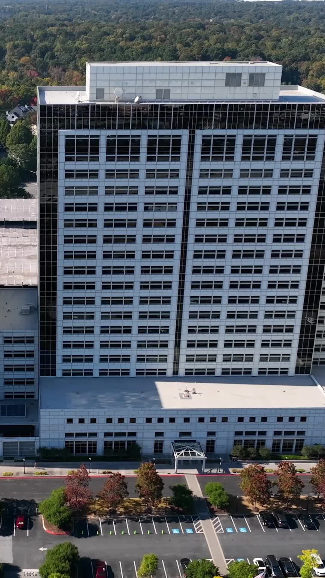 Episódio 5 de Meu Corpo Pertence ao Chefão da Máfia