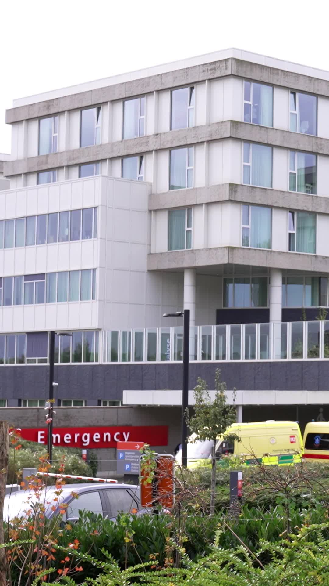 Episódio 53 de Meu Corpo Pertence ao Chefão da Máfia