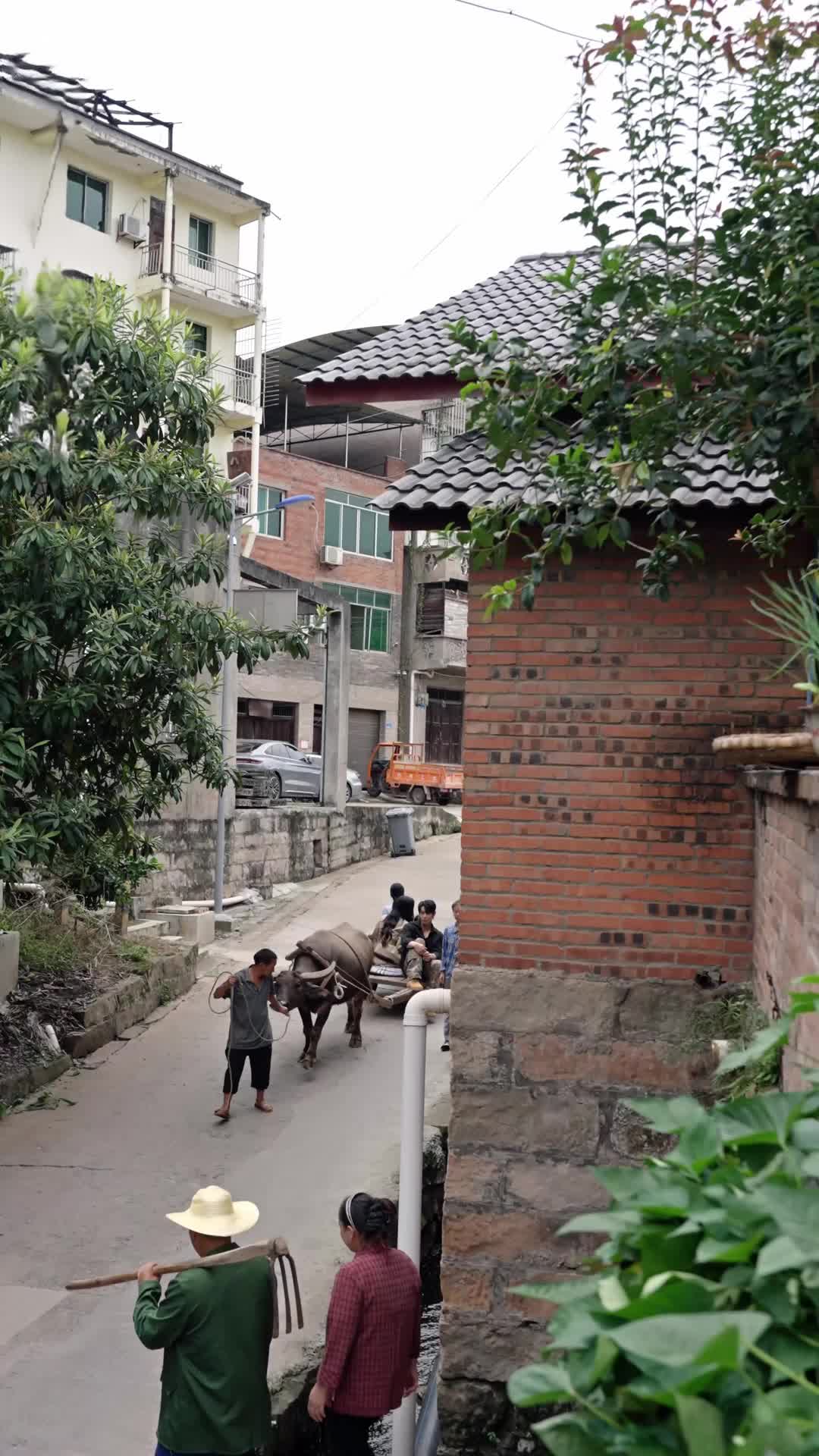 Episódio 6 de Meu marido é um grande magnata em segredo