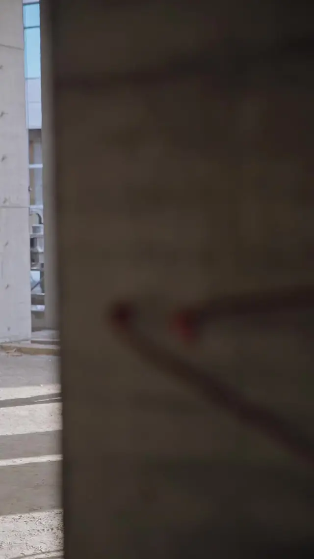 Episódio 25 de Meu Noivo, Meu Guarda-Costas