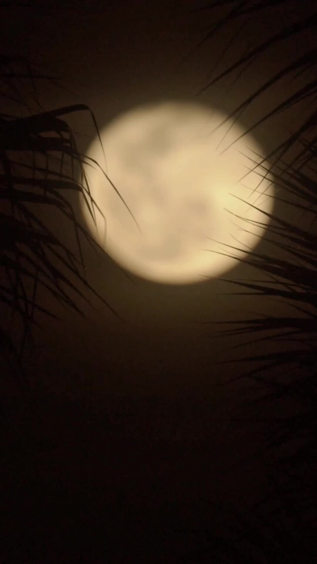 Episódio 10 de Minha Princesa, Volte para Mim