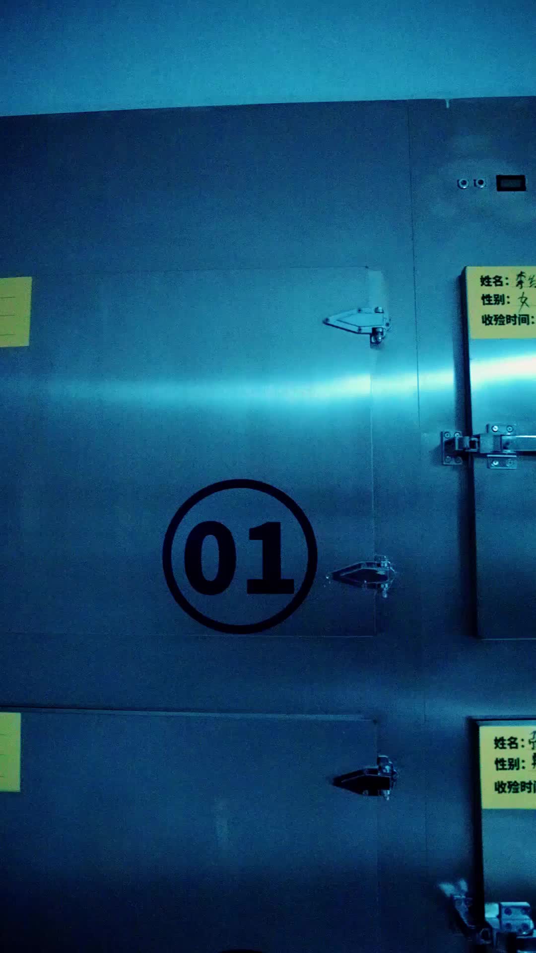 Episódio 1 de Não Sou Mais um Tolo: O Rei Voltou