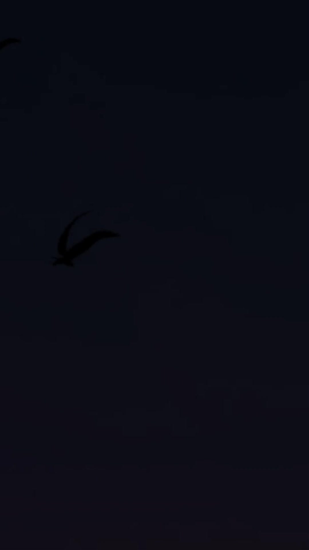 Episódio 20 de No mundo misterioso, me divirto sem limites