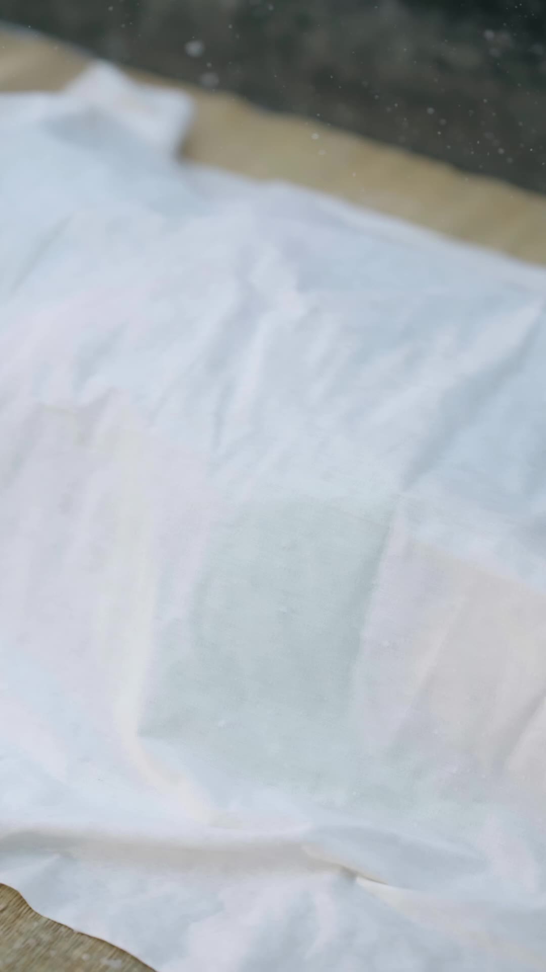 Episódio 1 de Nosso Fofo É Na Verdade um Sussurrador de Fantasmas