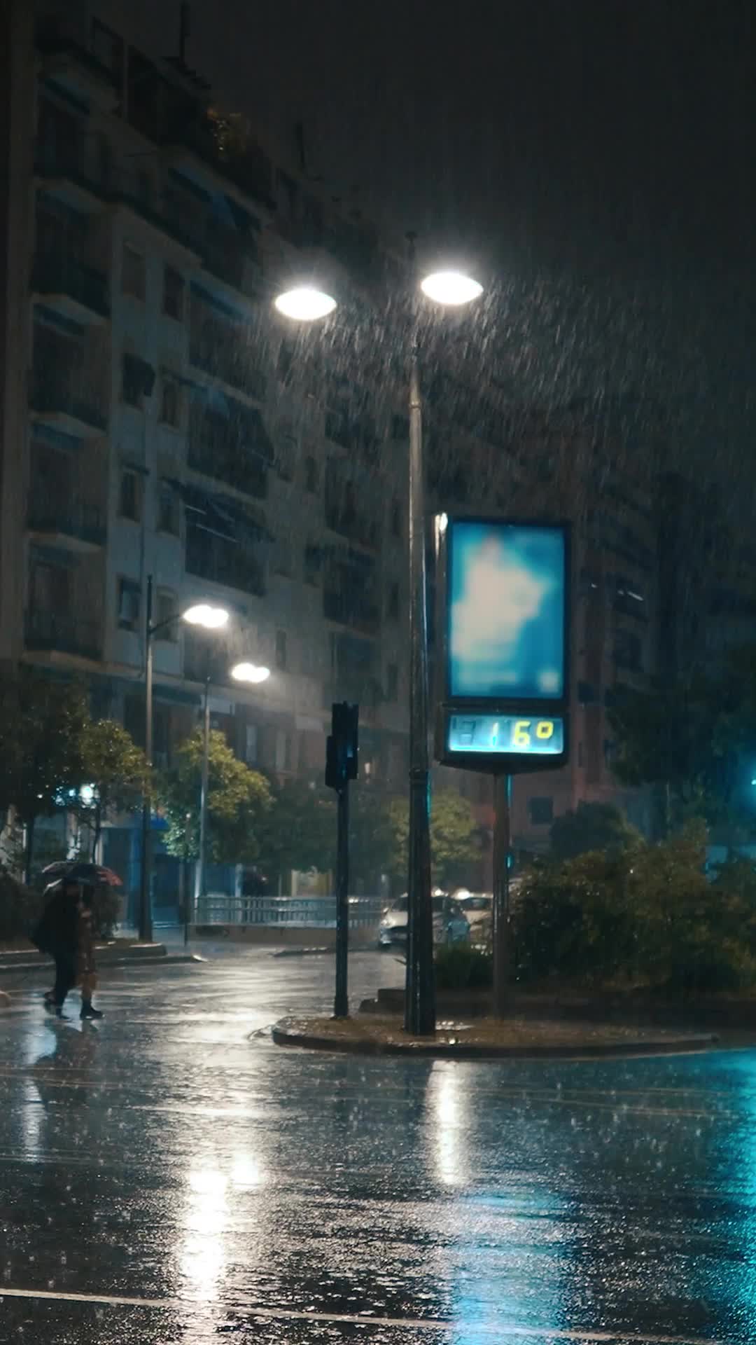 Episódio 49 de O amor envelhece como um bom vinho