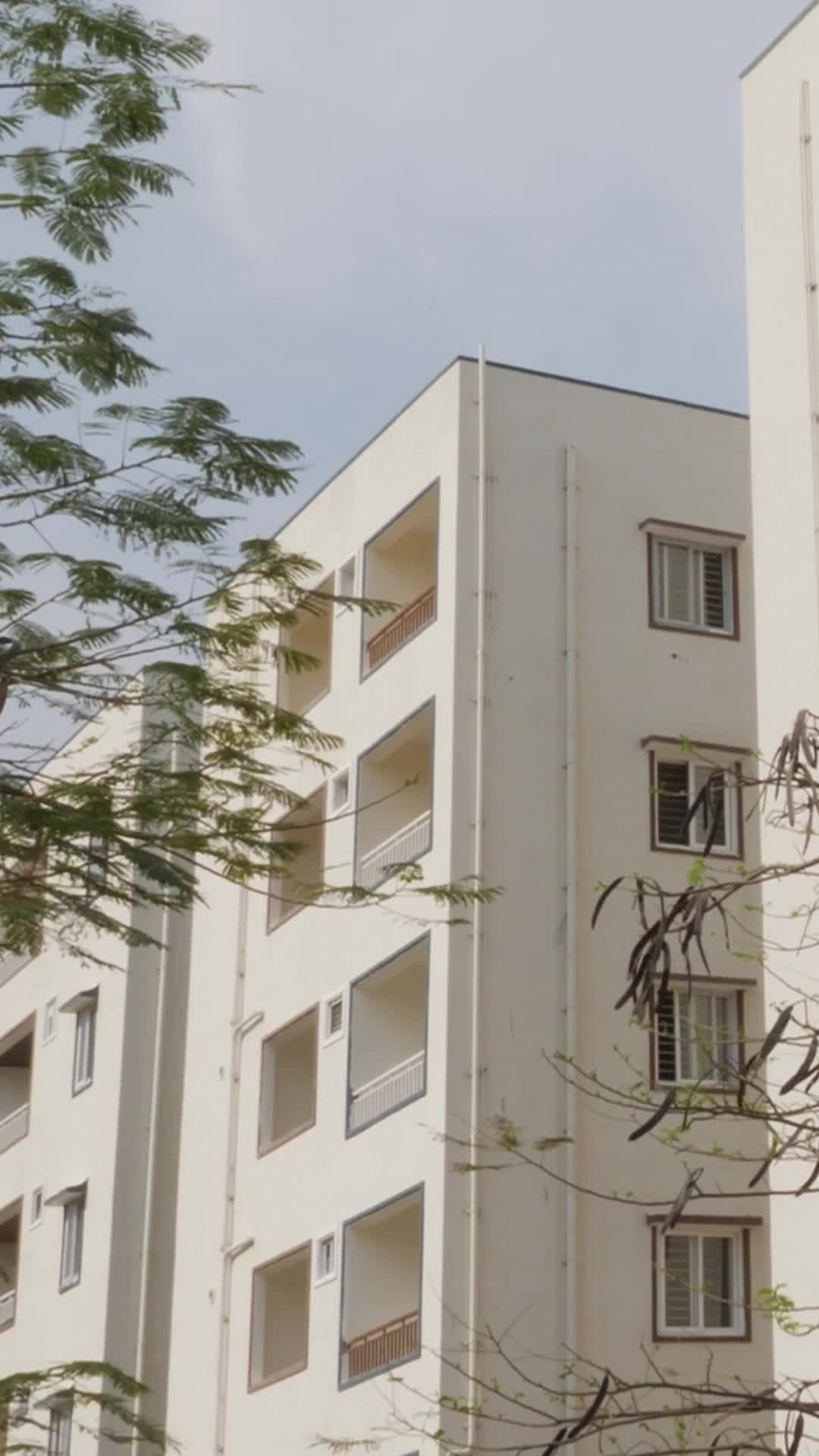 Episódio 57 de O amor envelhece como um bom vinho