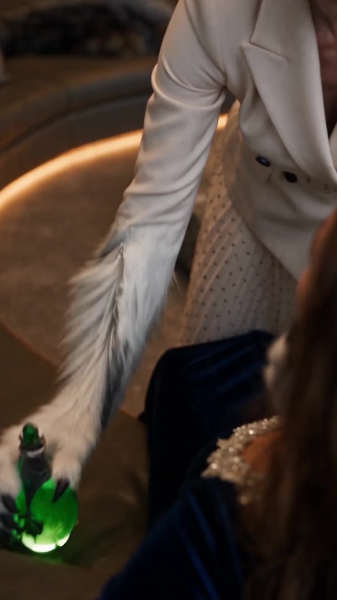 Episódio 60 de O Contra-Ataque da Rainha Loba
