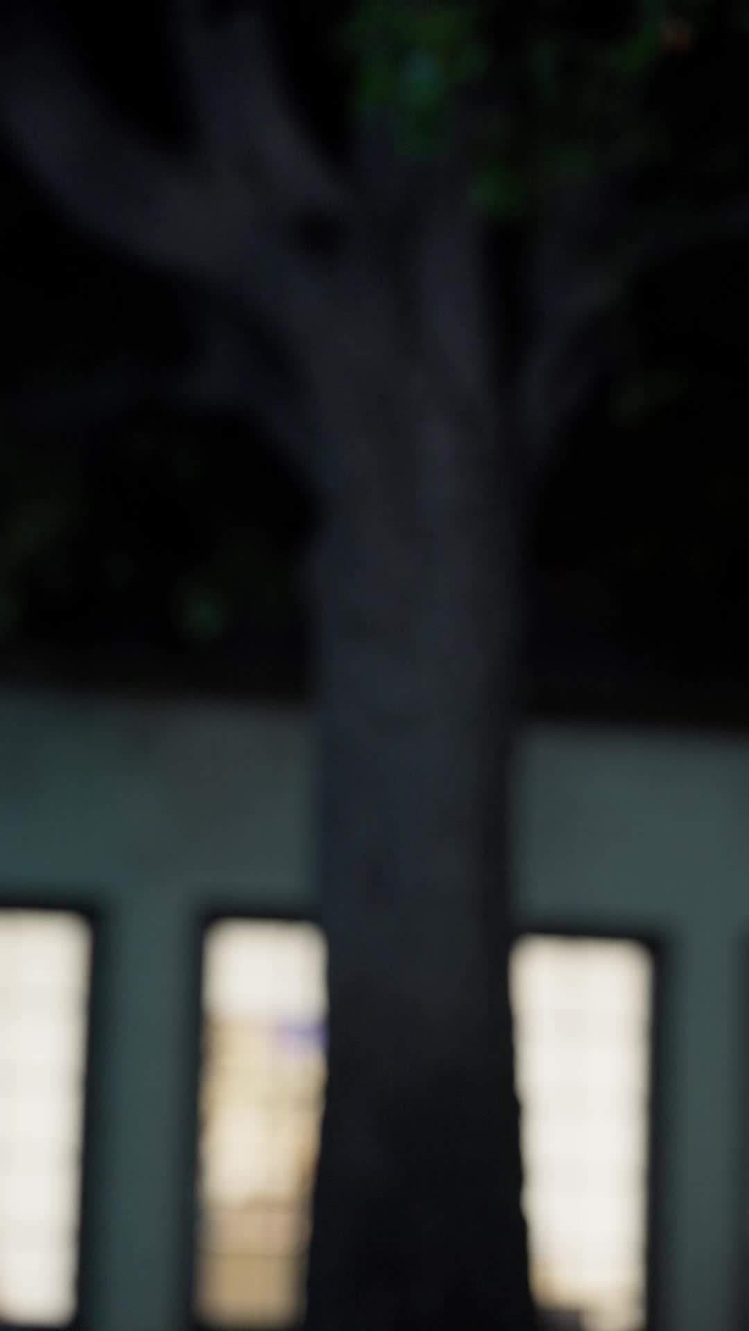 Episódio 17 de O Marido Que Ela Nunca Valorizou