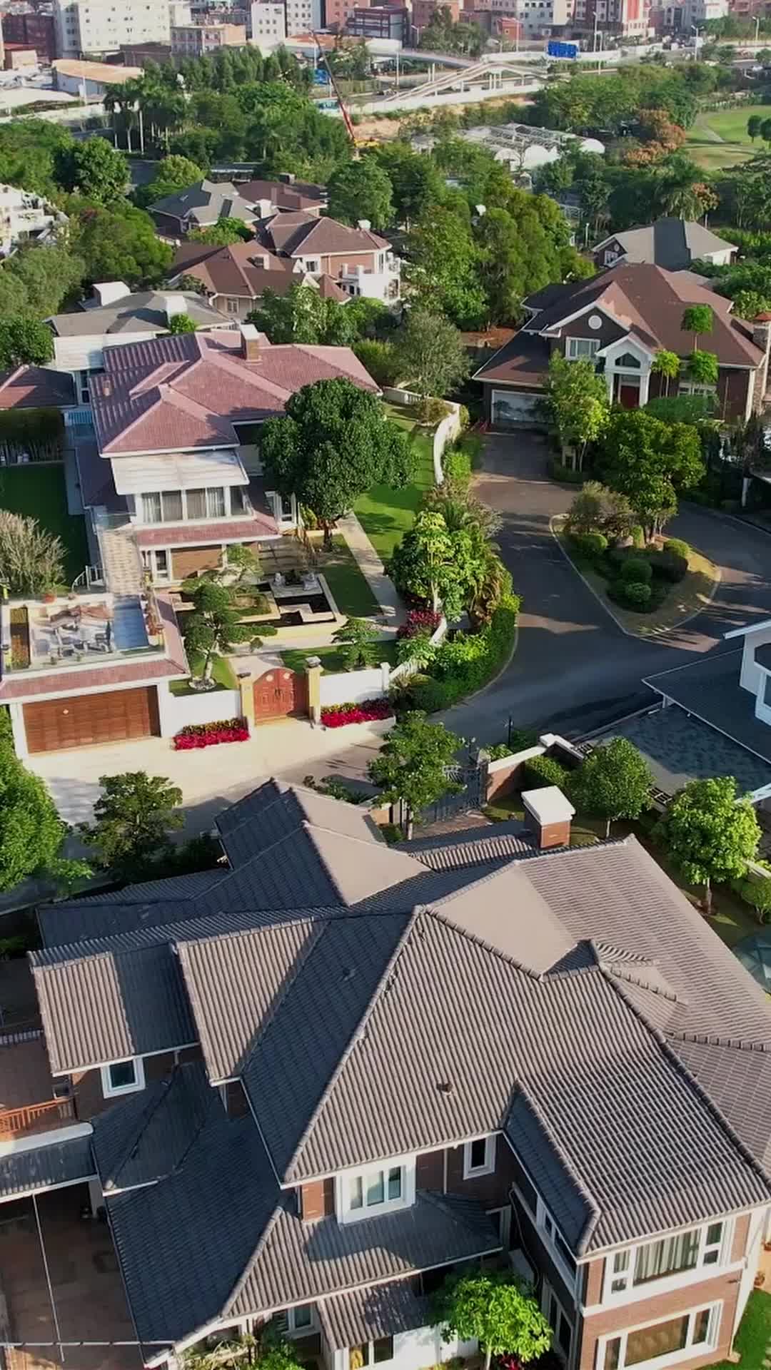 Episódio 28 de O Plano de Família: O Amor Ataca Duas Vezes