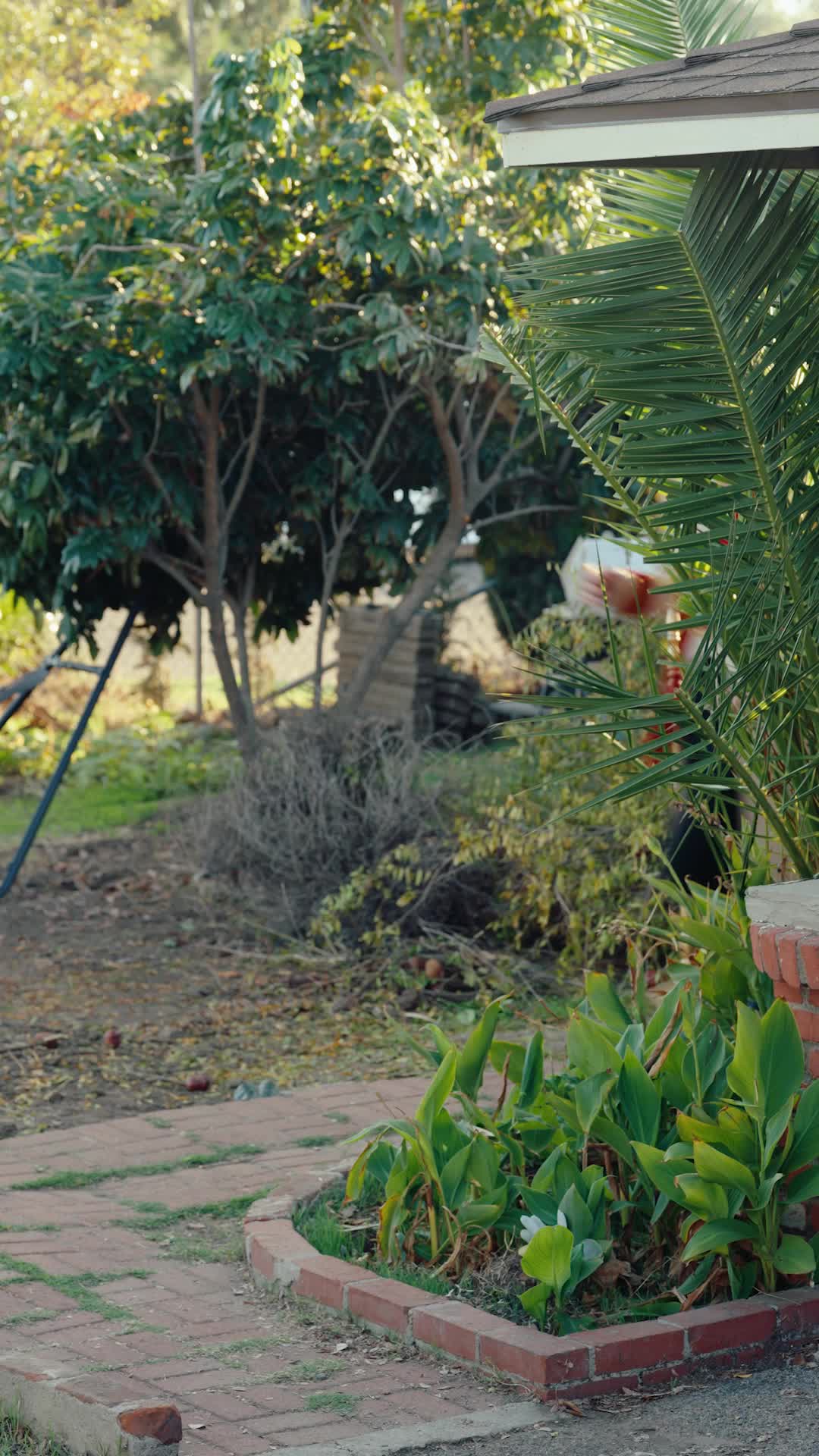Episódio 55 de O primeiro amor do príncipe